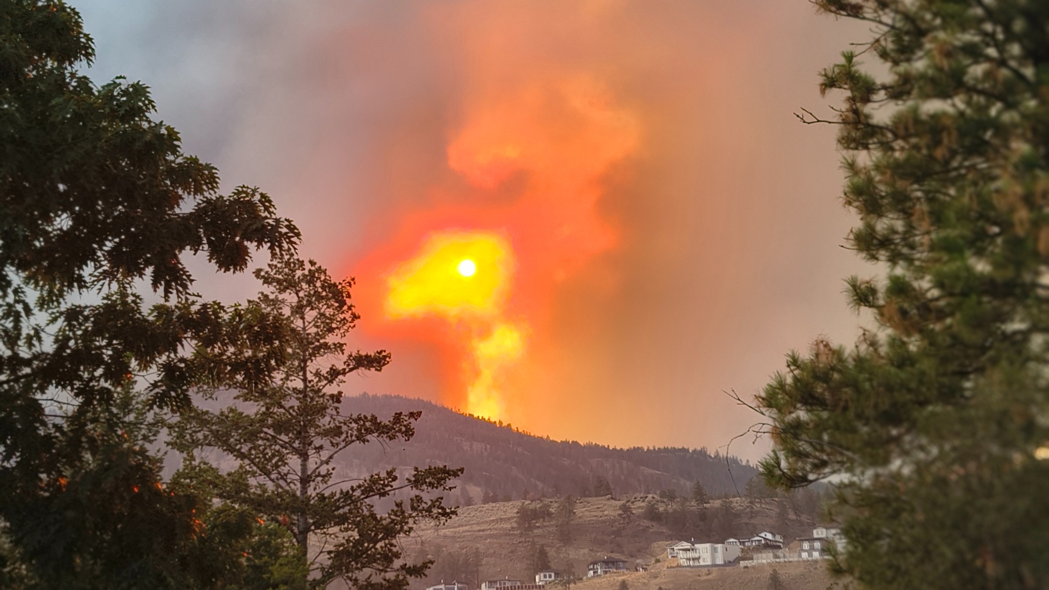 Daytime view of the Bald Range Wildfire with smoke and flame above Summerland
